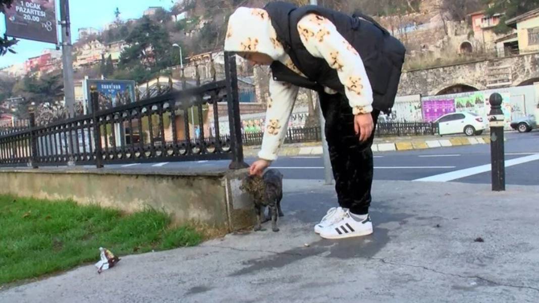 Beşiktaş'ta kedi kurtarma operasyonu: Denize düştü, dalgıça sarıldı 3